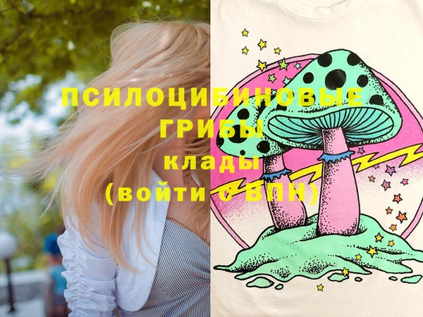 прущие грибы Коряжма