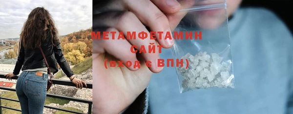 прущие грибы Коряжма
