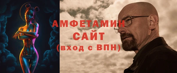 прущие грибы Коряжма