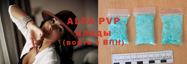 прущие грибы Коряжма