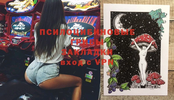 прущие грибы Коряжма