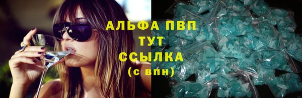 прущие грибы Коряжма