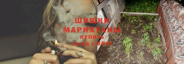 прущие грибы Коряжма