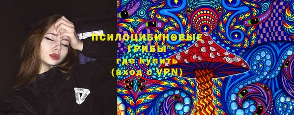 прущие грибы Коряжма